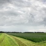 hollandse-landschappen2